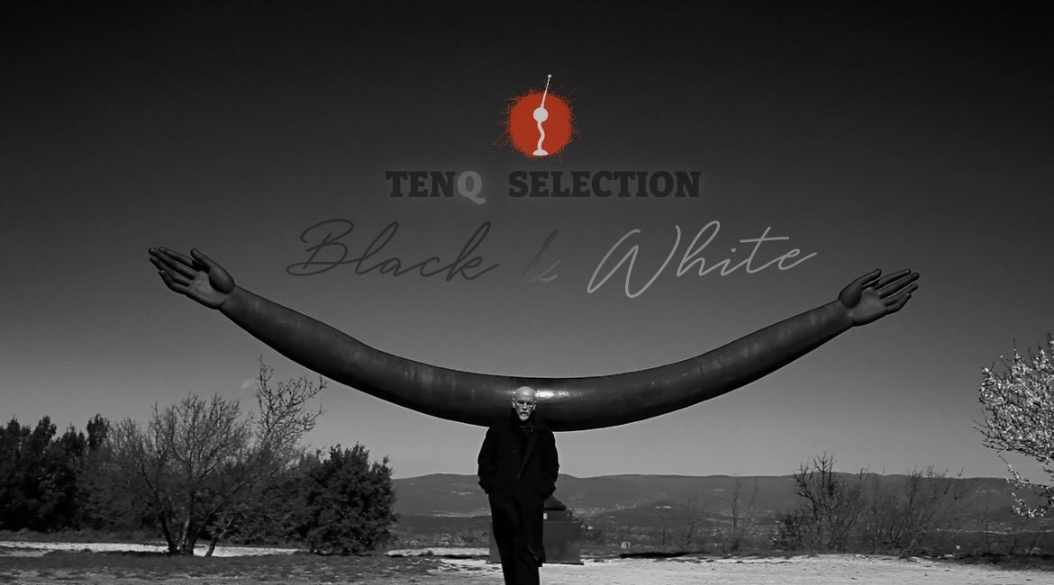 tenq black & white berlin music video awards