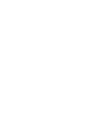 white logo lepetitjournal