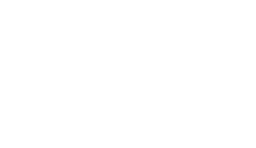 BMVA_partner_logo_LePetiteJournal